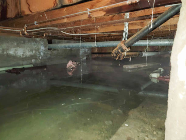 Best Emergency water damage restoration  in , ME