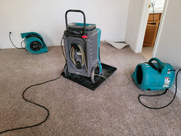 Best Water damage restoration near me  in , ME