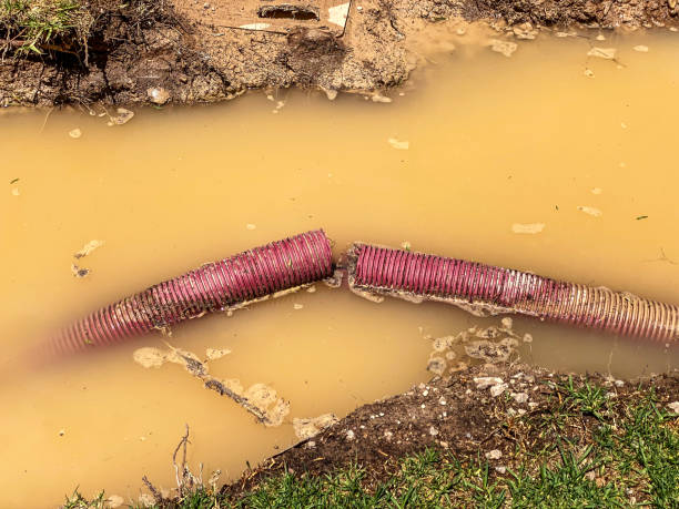 Best Residential water damage restoration  in , ME
