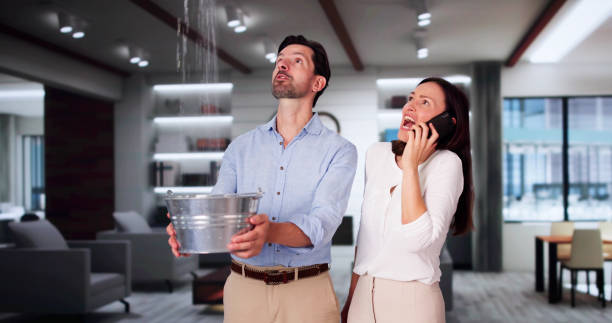 Best Water damage contractors near me  in , ME